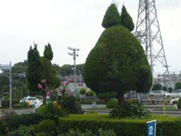 w3.jpg